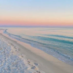 Meet your Posher, Bella